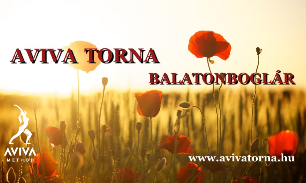 AVIVA MÓDSZER betanító foglalkozás